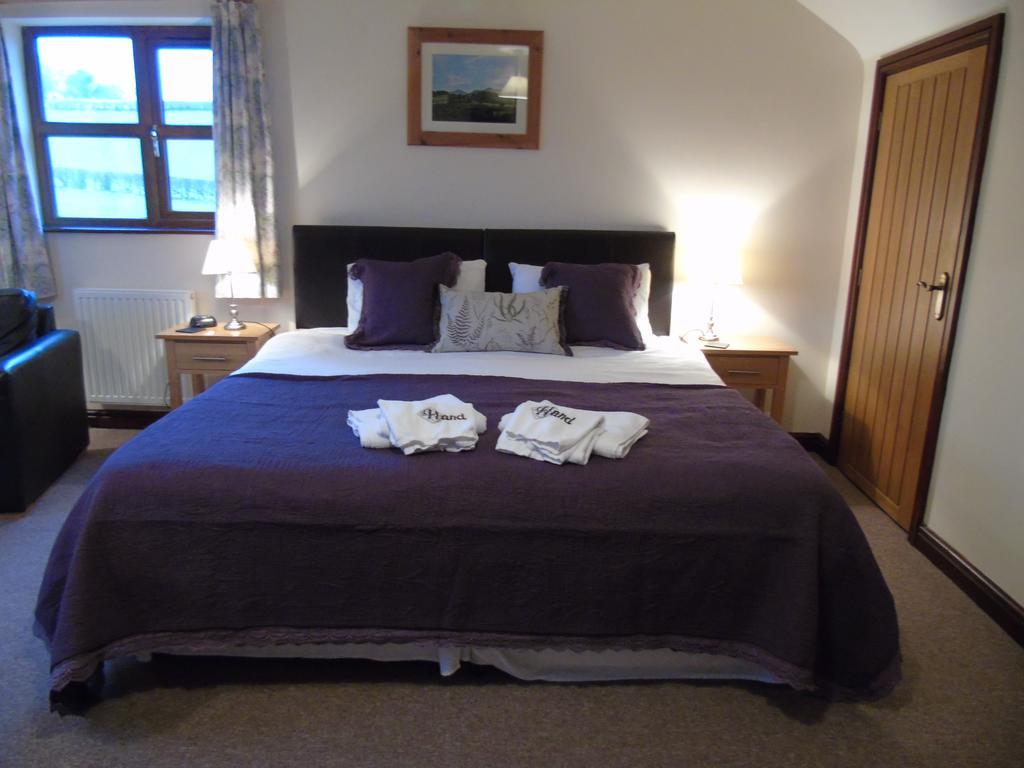 بيلث ويلز Pwllgwilym B & B المظهر الخارجي الصورة